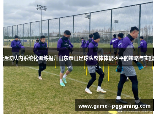 通过队内系统化训练提升山东泰山足球队整体体能水平的策略与实践 通过队内系统化训练提升山东泰山足球队整体体能水平的策略与实践
