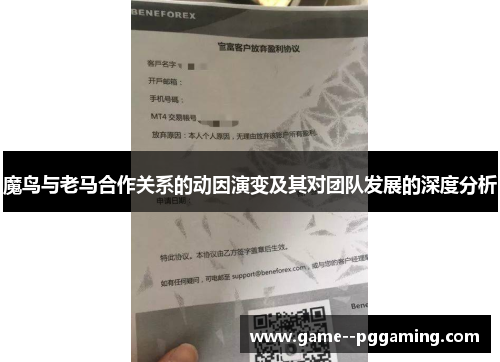 魔鸟与老马合作关系的动因演变及其对团队发展的深度分析 魔鸟与老马合作关系的动因演变及其对团队发展的深度分析